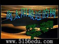 《离太阳最近的树》ppt课件3